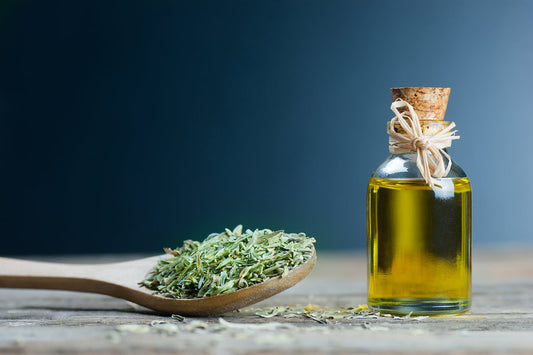 The benefits of Oregano oil