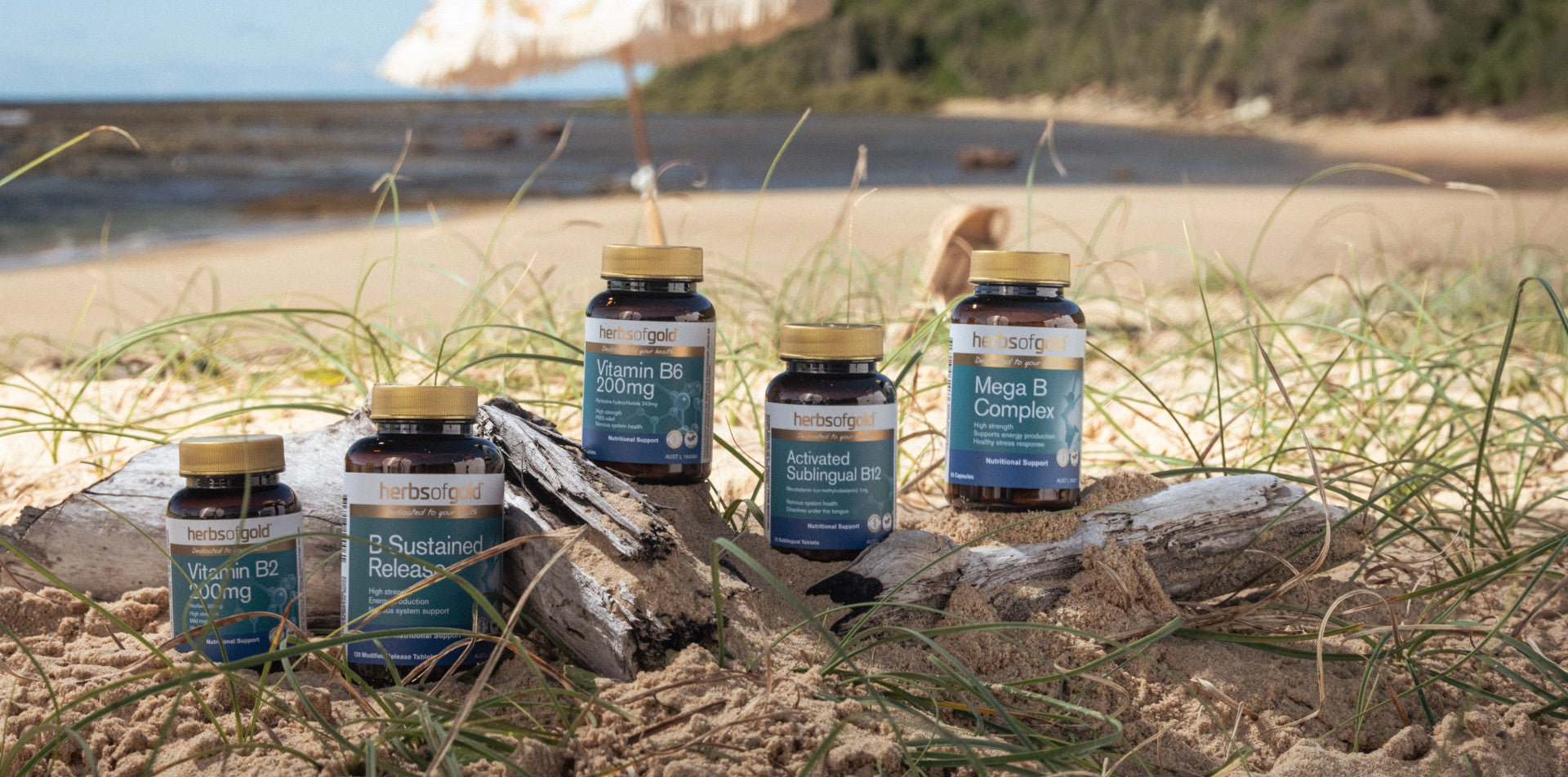 Vitamin B Supplements