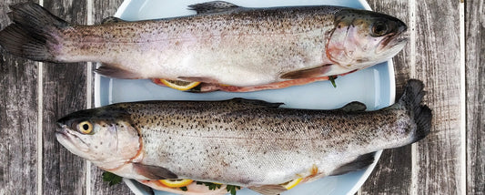 The right balance of omega 3 & 6