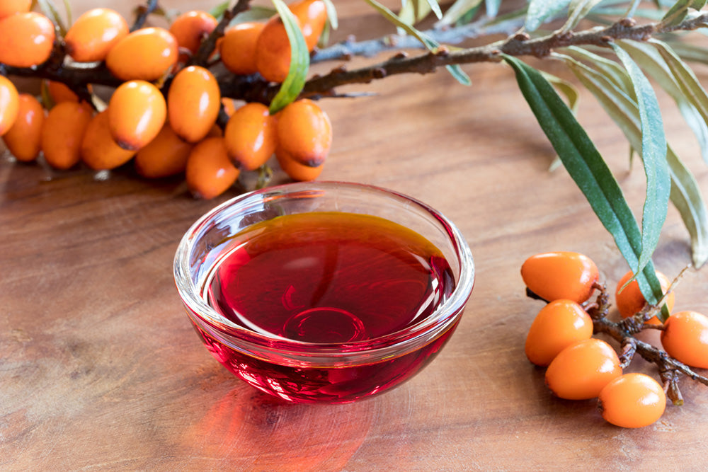 Sea buckthorn oil: a plant-based oil with real-world benefits