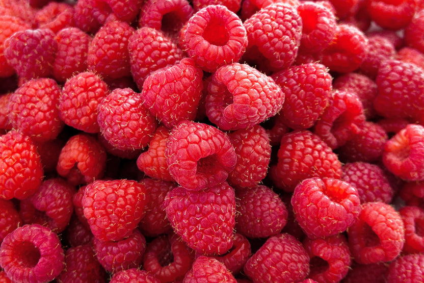 What are antioxidants?