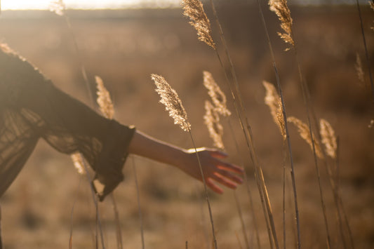 Girl-walking-through-field-touching-wheat
