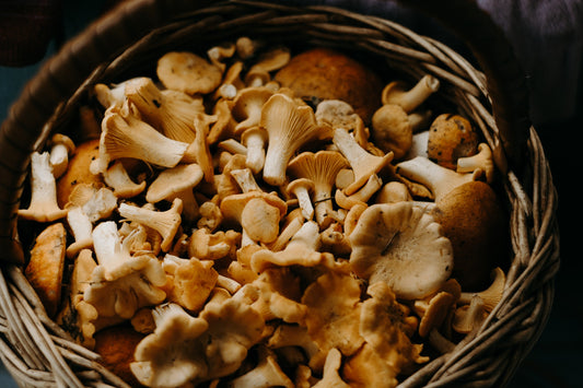 Mushrooms-in-bowl