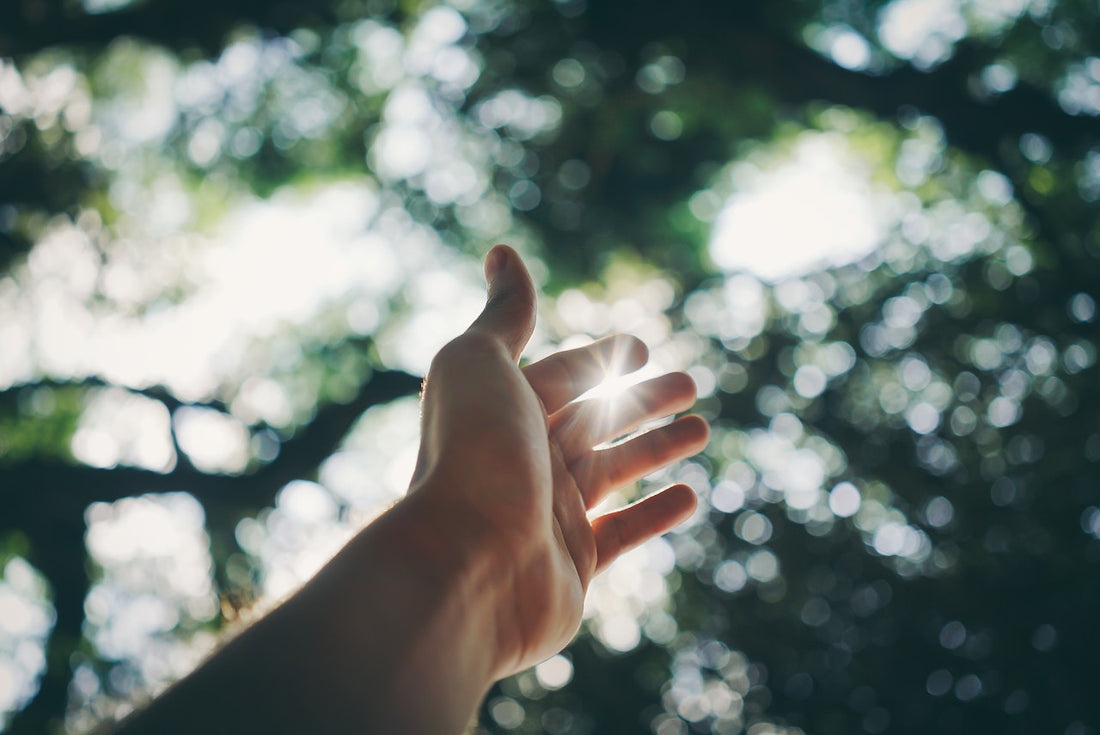 Your complete guide to vitamin D