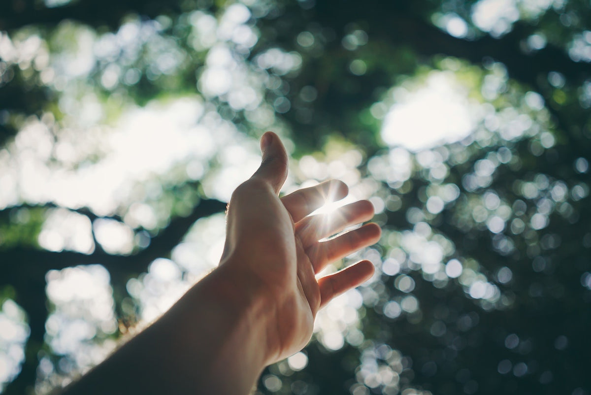 Your complete guide to vitamin D