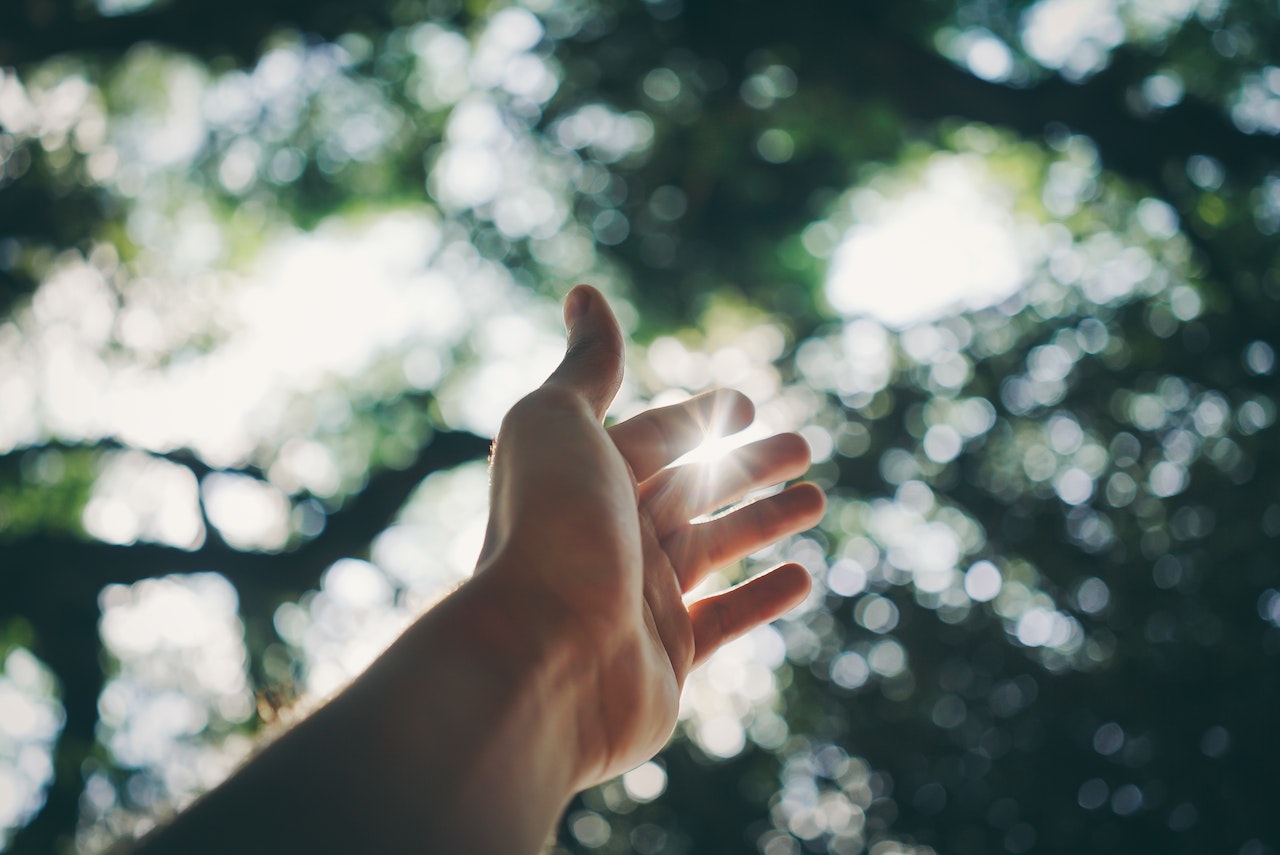 Your complete guide to vitamin D