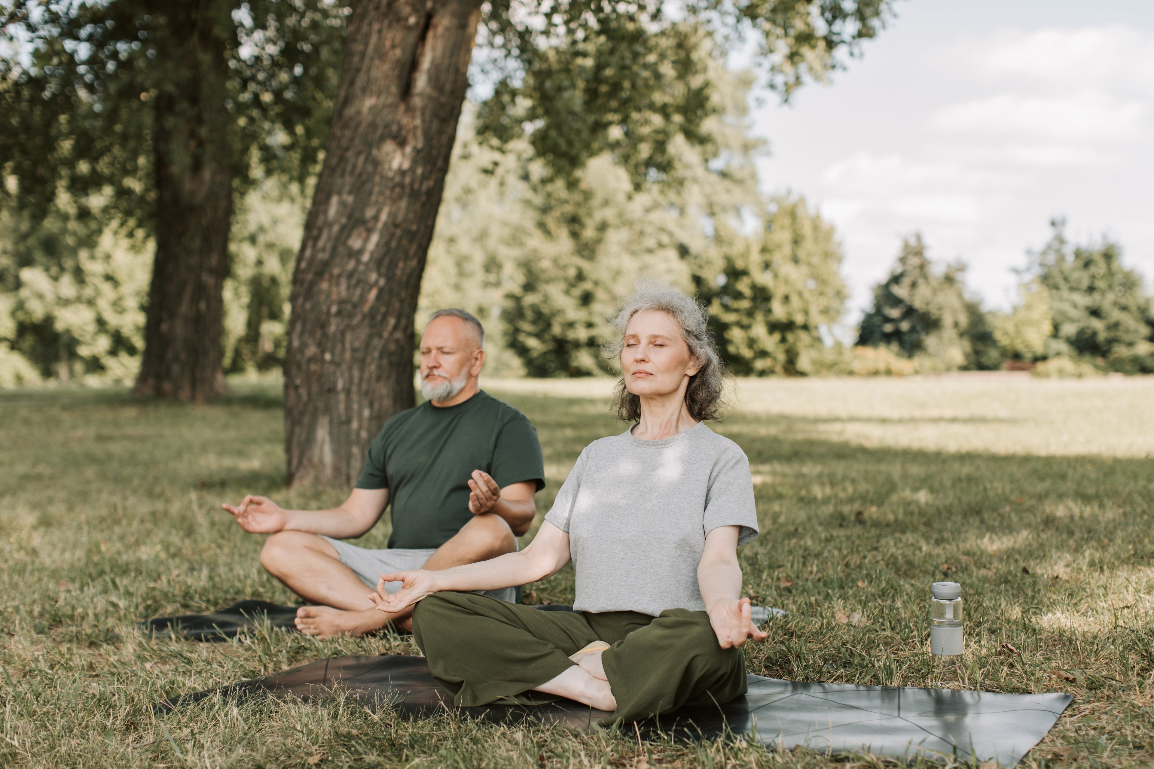The brain and heart connection