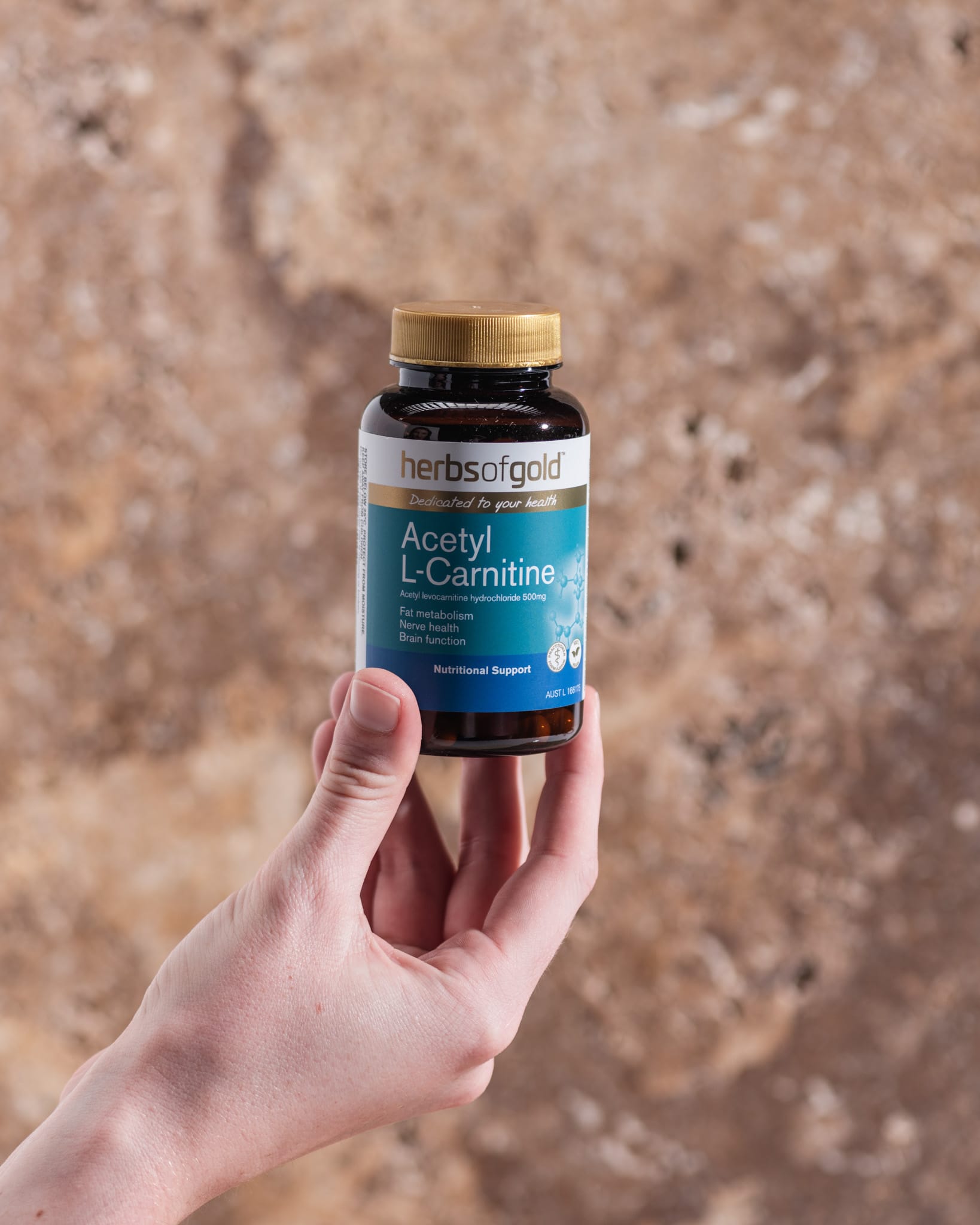 Acetyl L-Carnitine - Cognitive Support Herbs of Gold Acetyl L-Carnitine - Cognitive Support Herbs of Gold