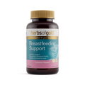 Breastfeeding Support