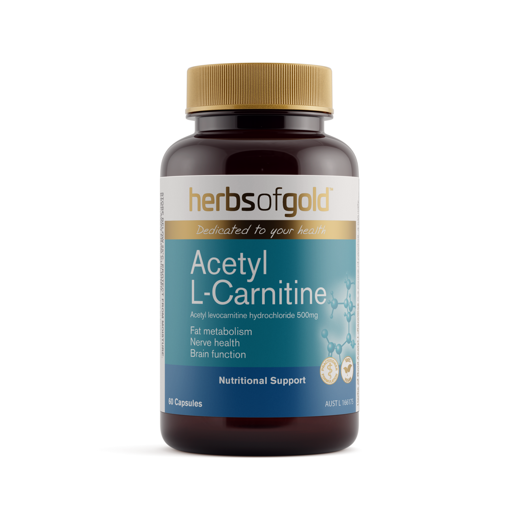 Acetyl L-Carnitine