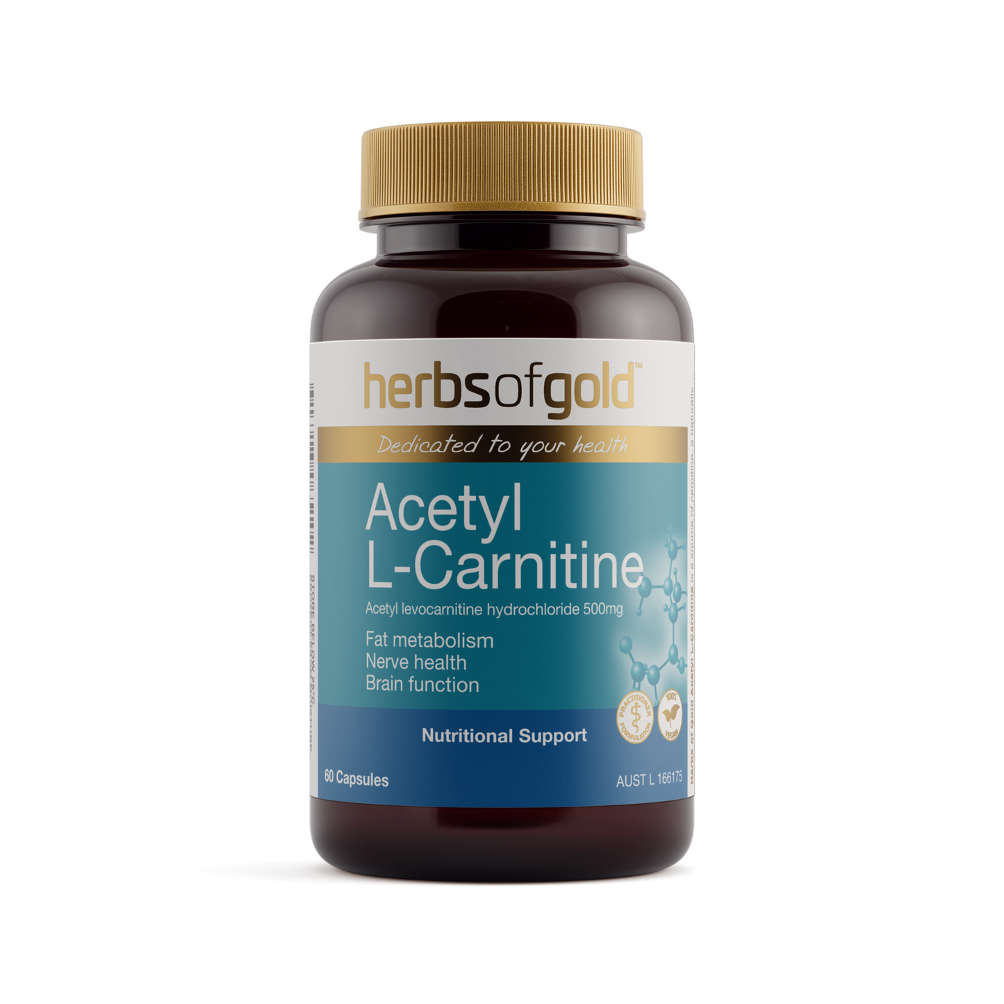 Acetyl L-Carnitine - Cognitive Support Herbs of Gold Acetyl L-Carnitine - Cognitive Support Herbs of Gold