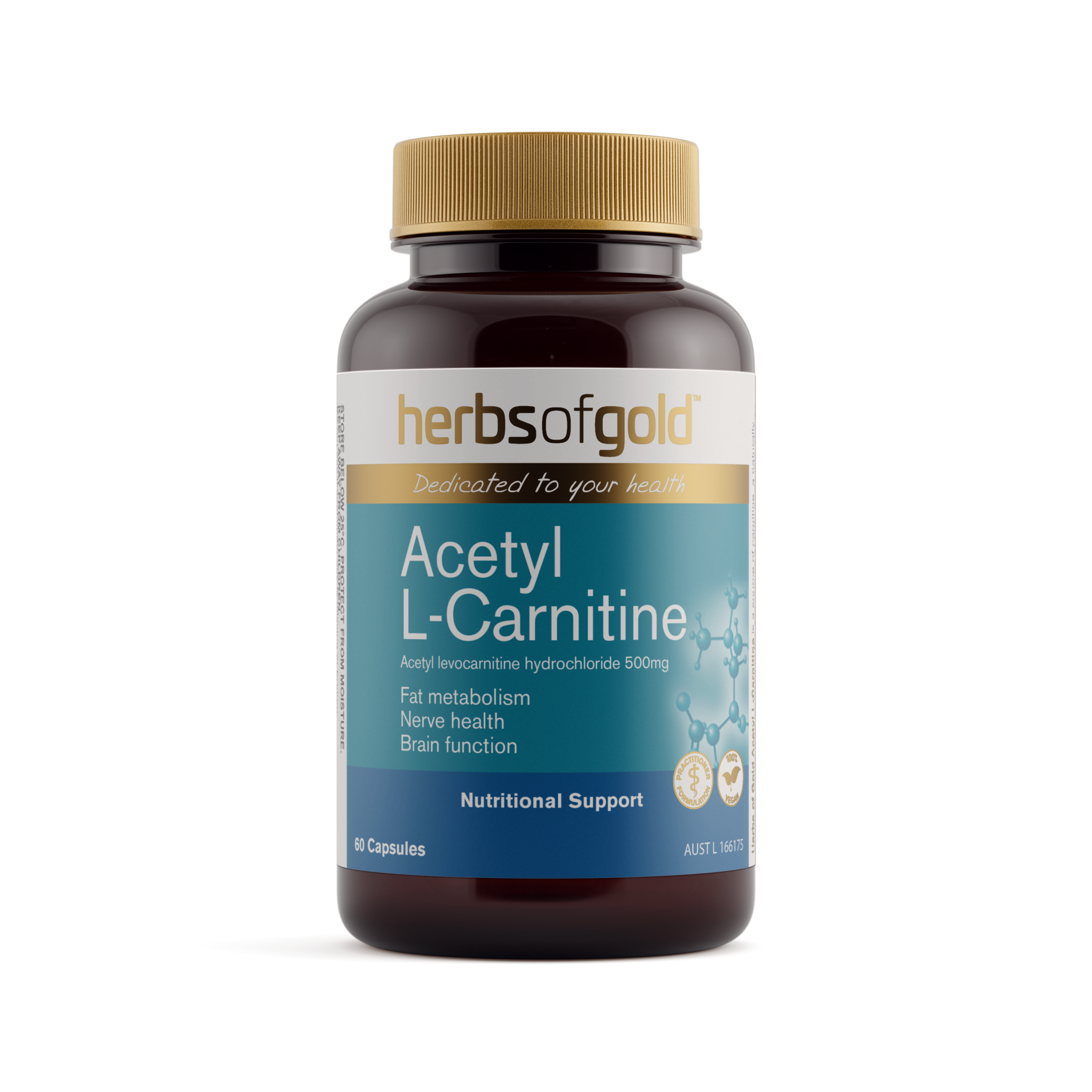 Acetyl L-Carnitine