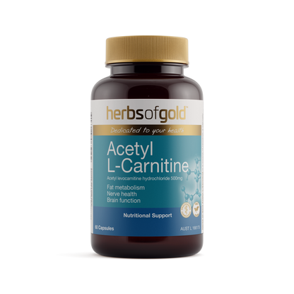 Acetyl L-Carnitine
