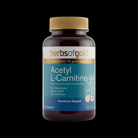 Acetyl L-Carnitine