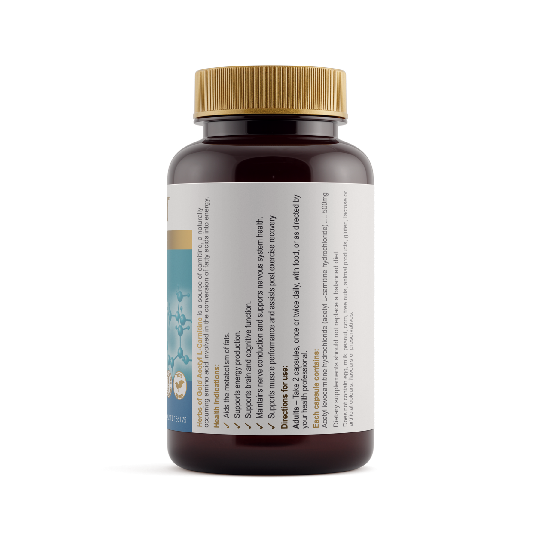 Acetyl L-Carnitine