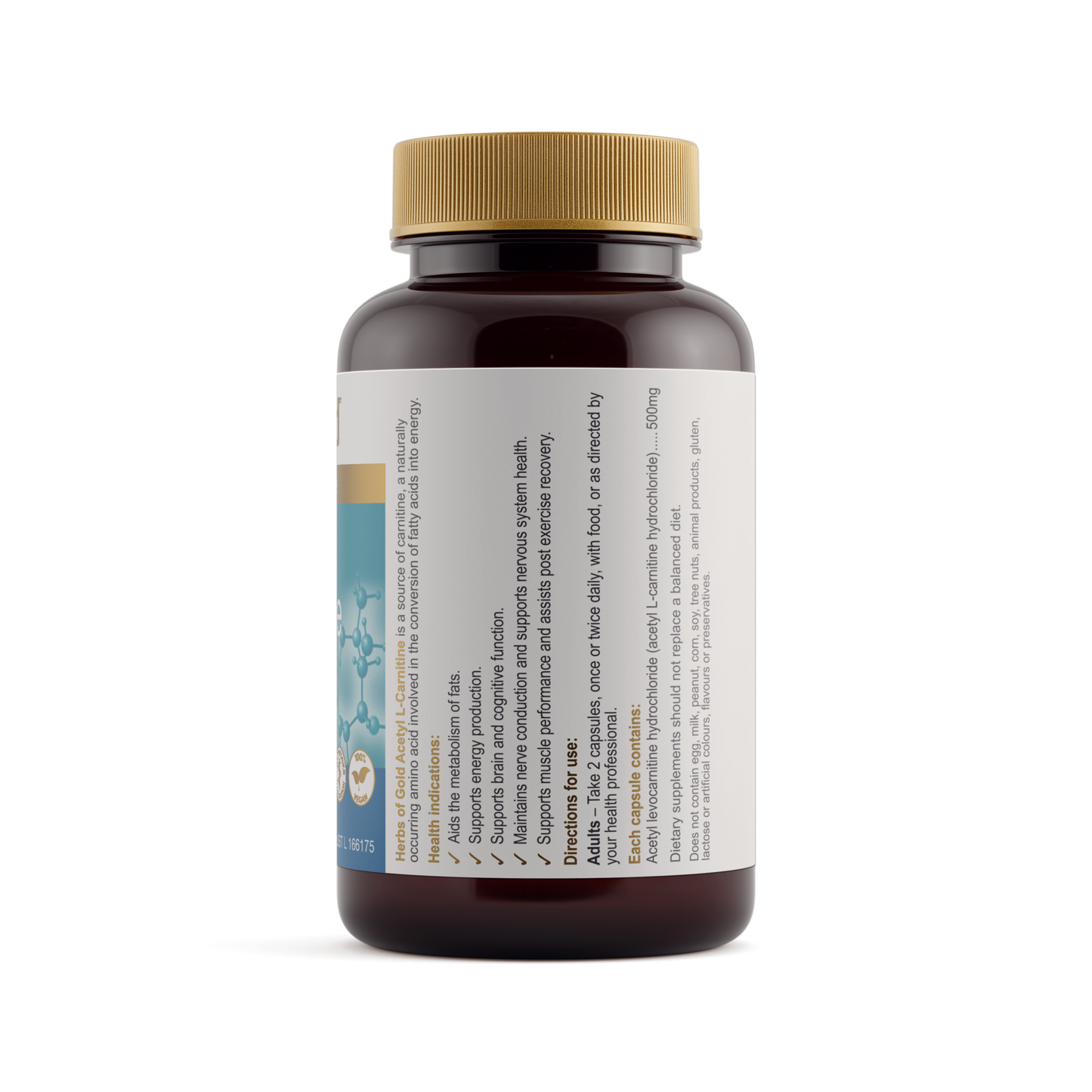 Acetyl L-Carnitine - Cognitive Support Herbs of Gold Acetyl L-Carnitine - Cognitive Support Herbs of Gold