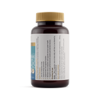 Acetyl L-Carnitine