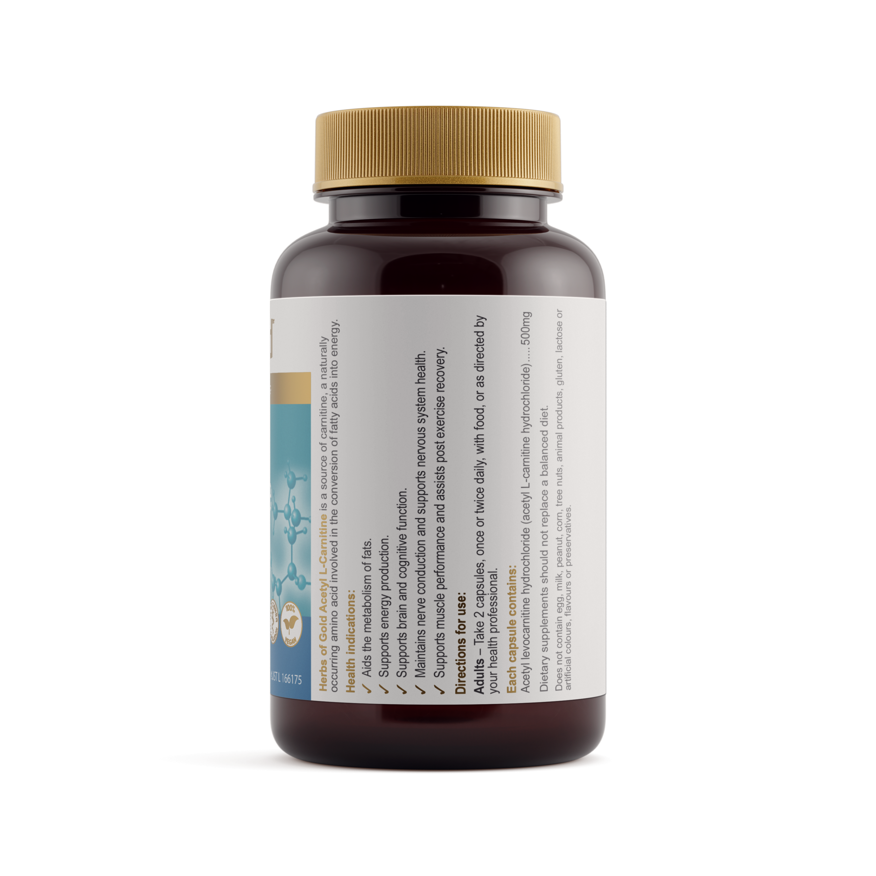 Acetyl L-Carnitine