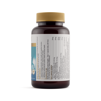 Activated B Complex