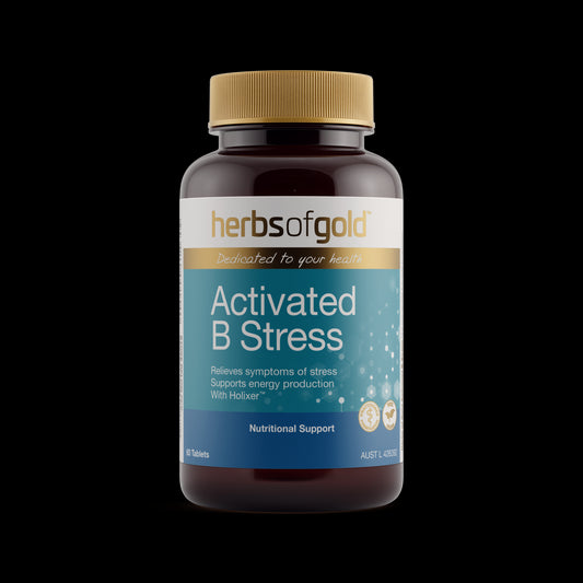 Activated B Stress