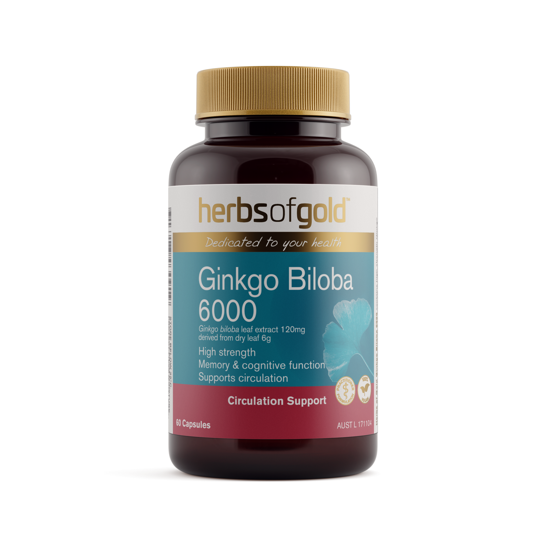 Ginkgo Biloba 6000