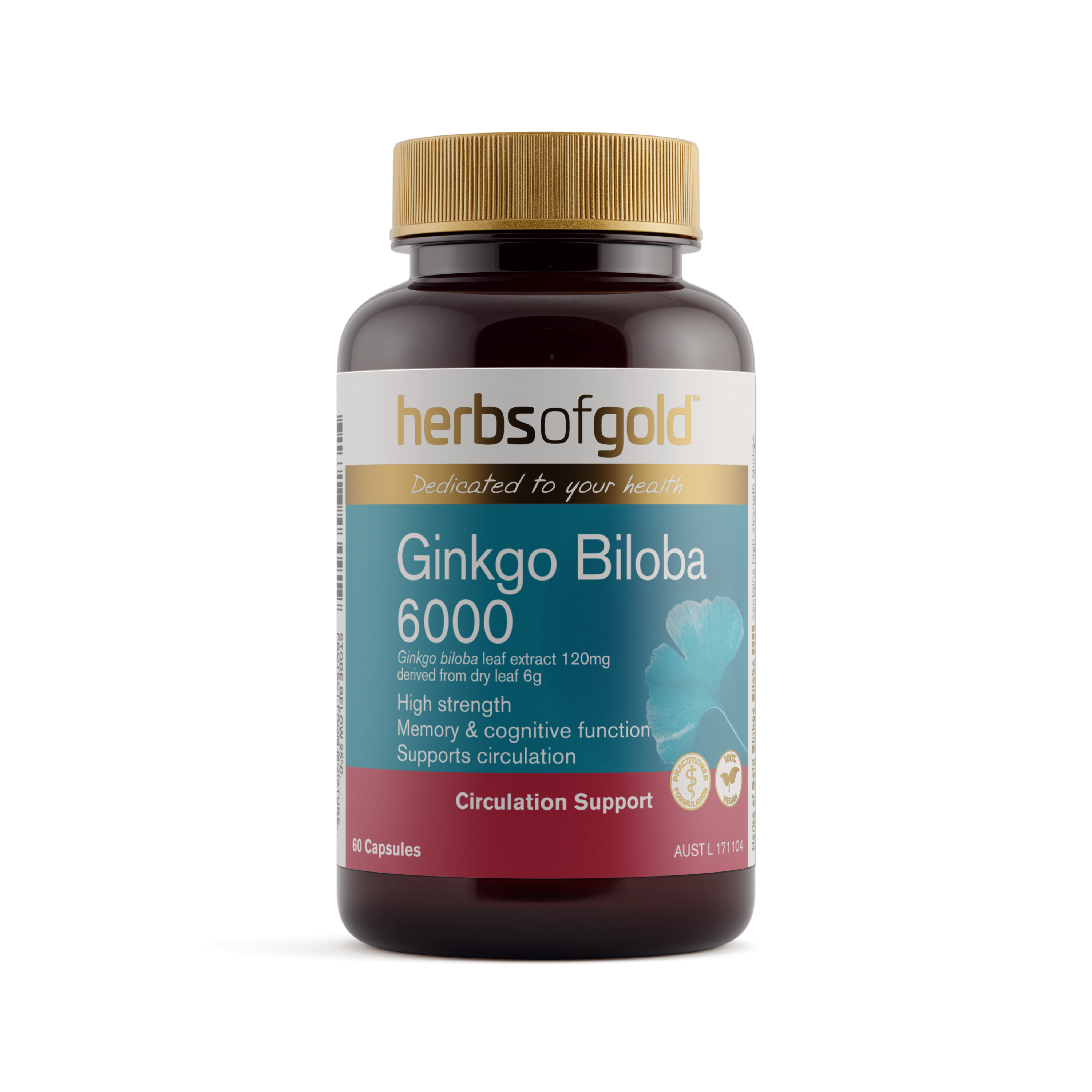 Ginkgo Biloba 6000