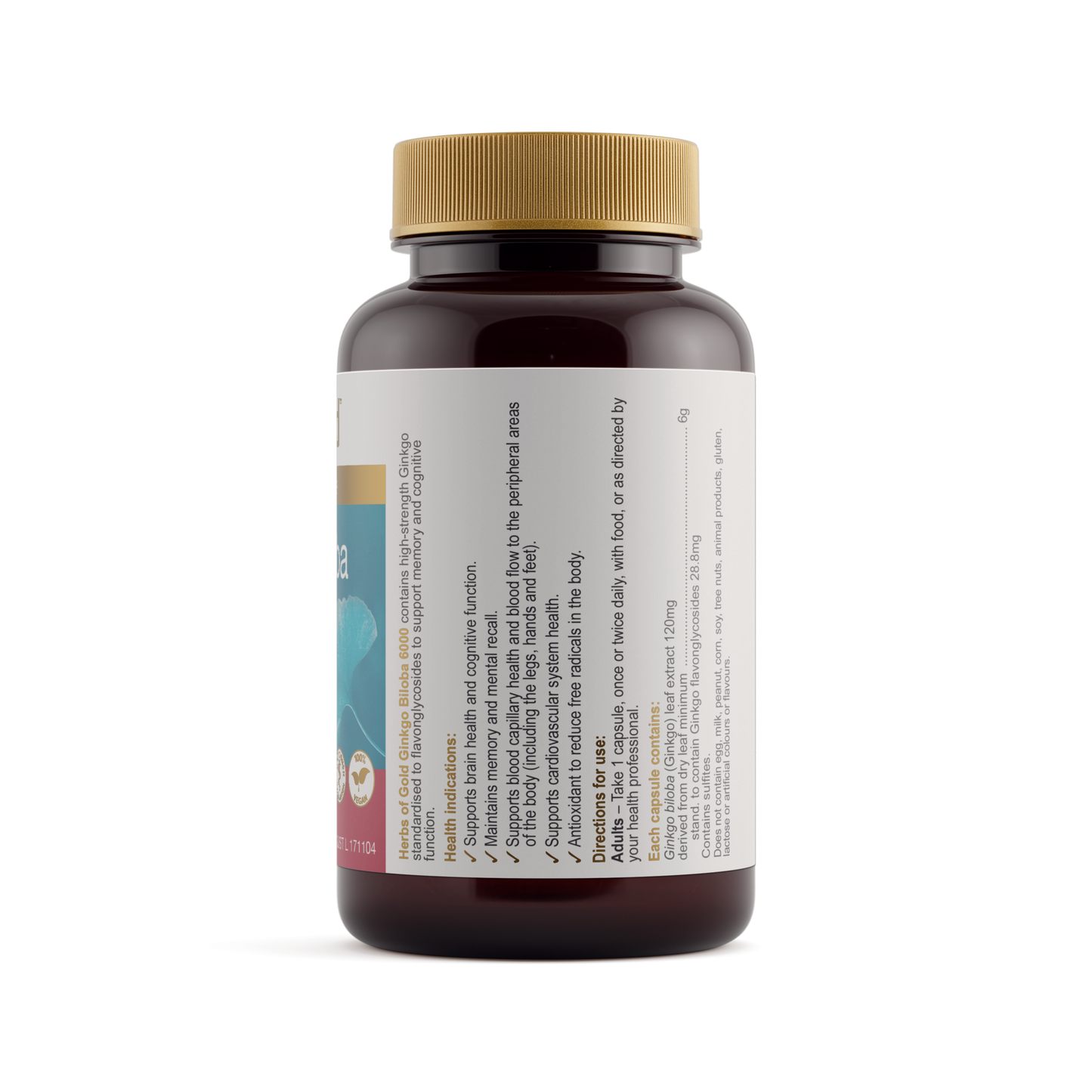 Ginkgo Biloba 6000