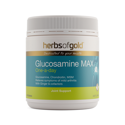 Glucosamine MAX