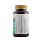 Hormone Metabolism