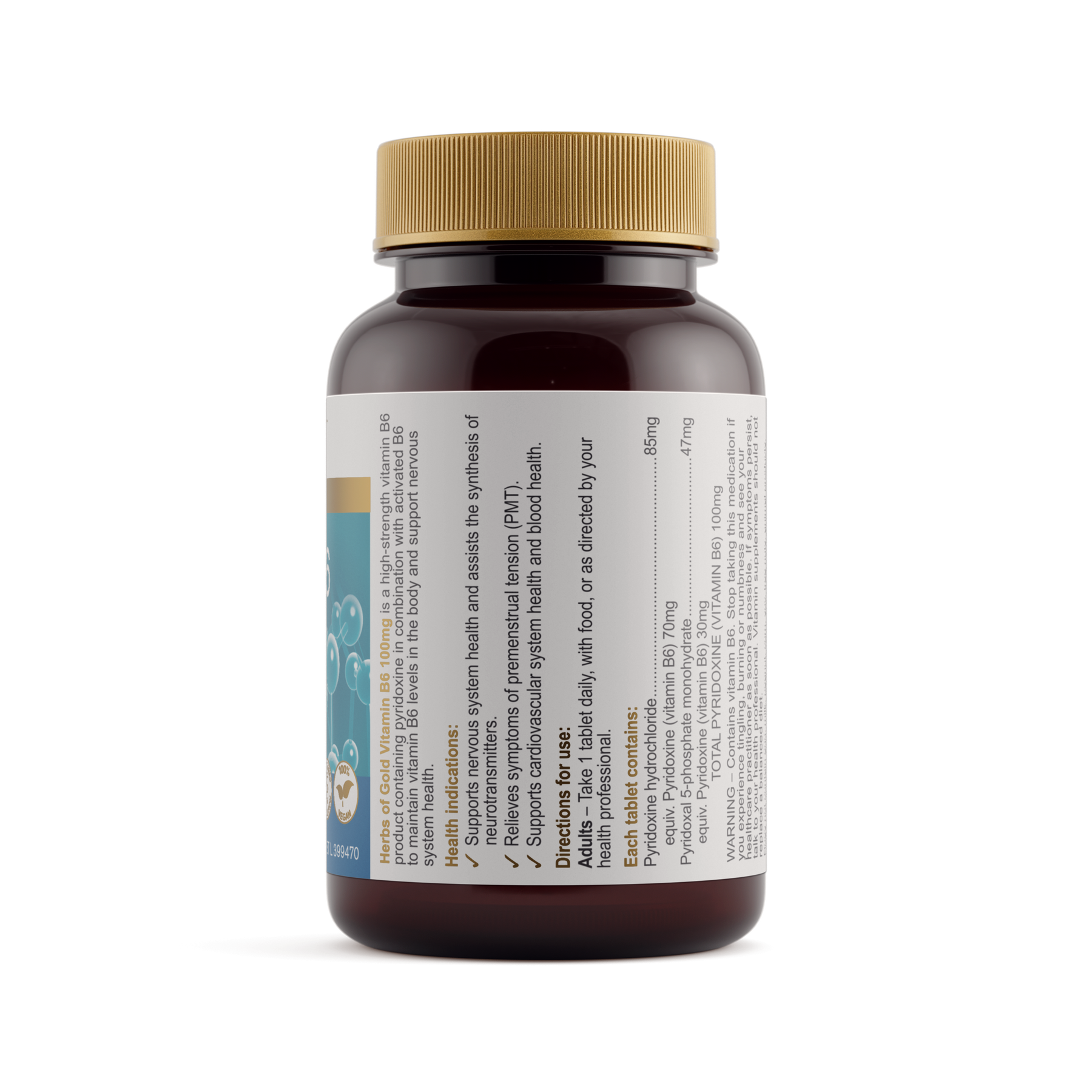 Vitamin B6 100mg