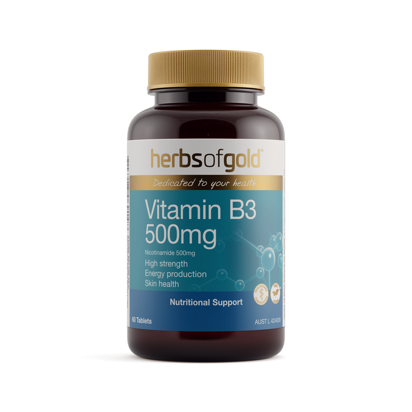 Vitamin B3 500mg