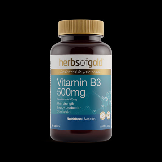 Vitamin B3 500mg