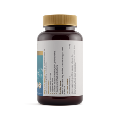 Vitamin B3 500mg