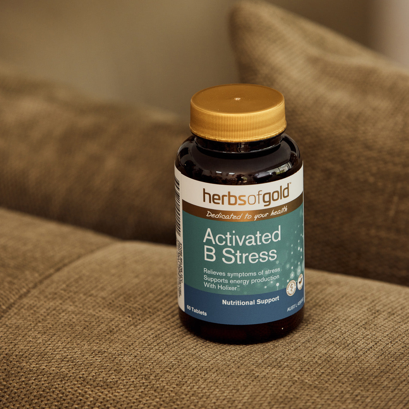 Activated B Stress