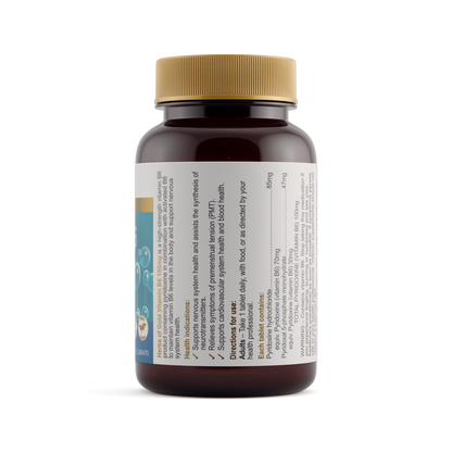 Vitamin B6 100mg