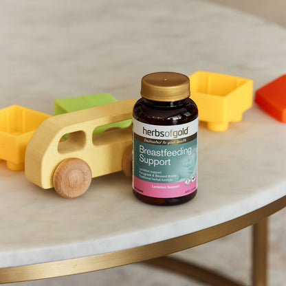 Breastfeeding Support