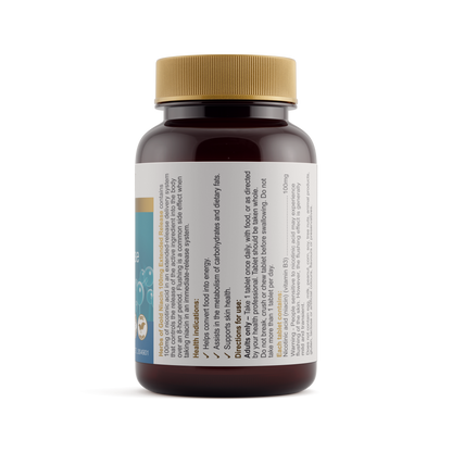 Niacin 100mg Extended Release