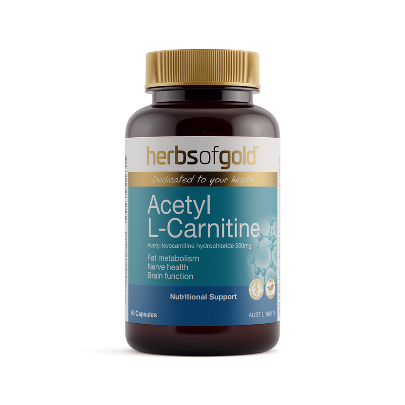 Front view of Herbs of Gold Acetyl L-Carnitine 60 capsules
