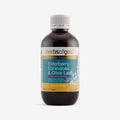 Front view of Herbs of Gold Elderberry Echinacea & Olive Leaf 200mL