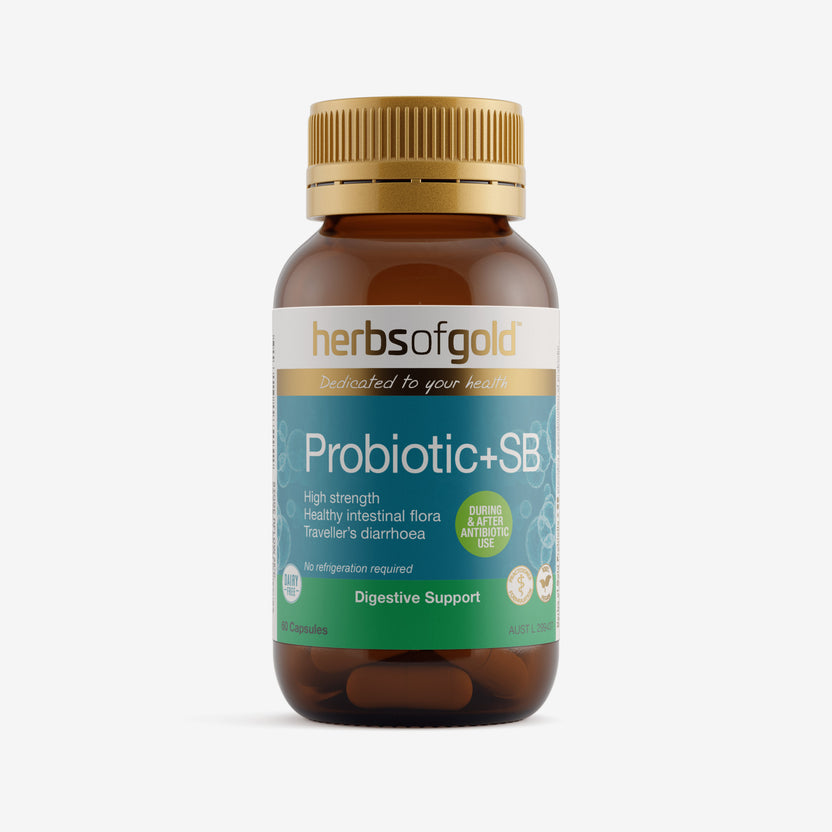 Front view of Herbs of Gold Probiotic + SB 60 capsules
