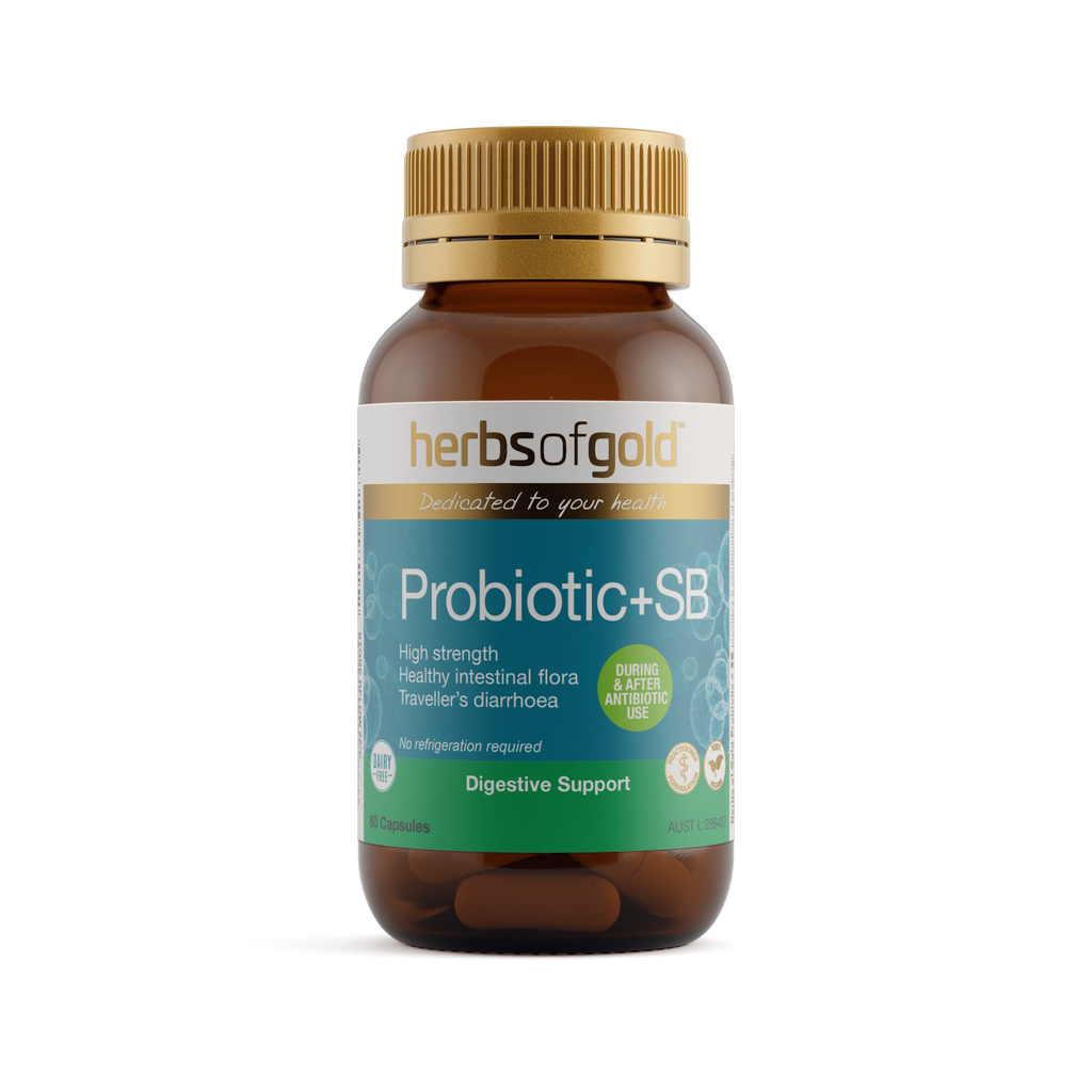 Front view of Herbs of Gold Probiotic + SB 60 capsules