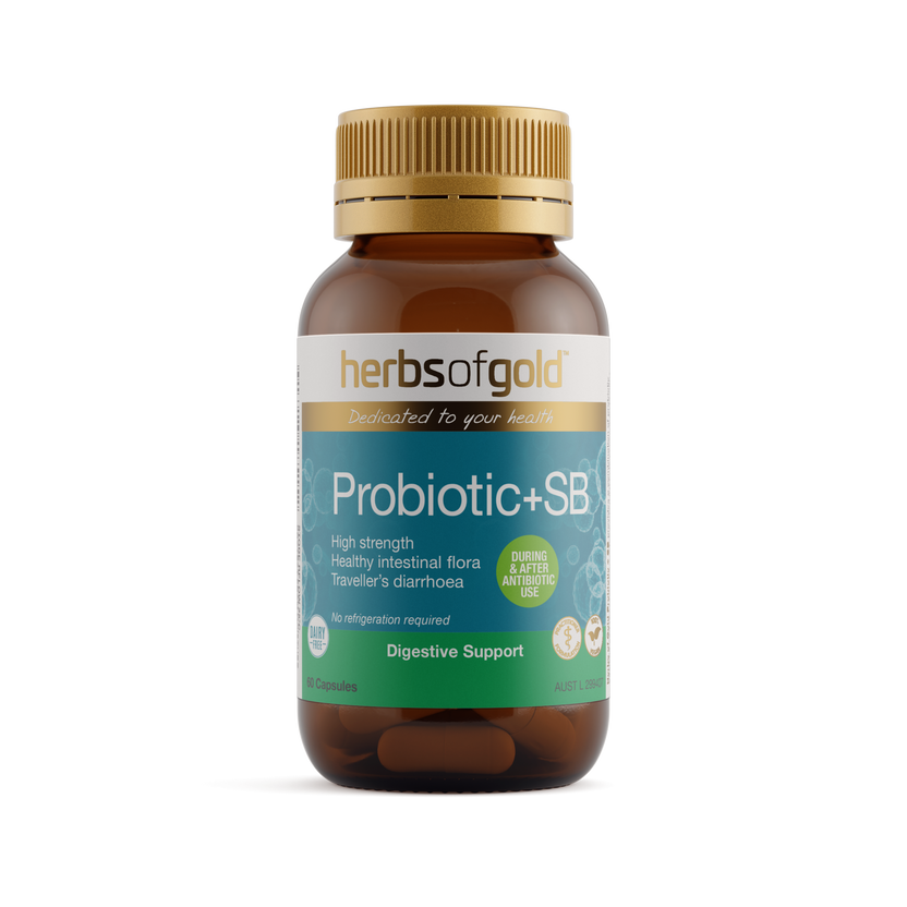 Front view of Herbs of Gold Probiotic + SB 60 capsules