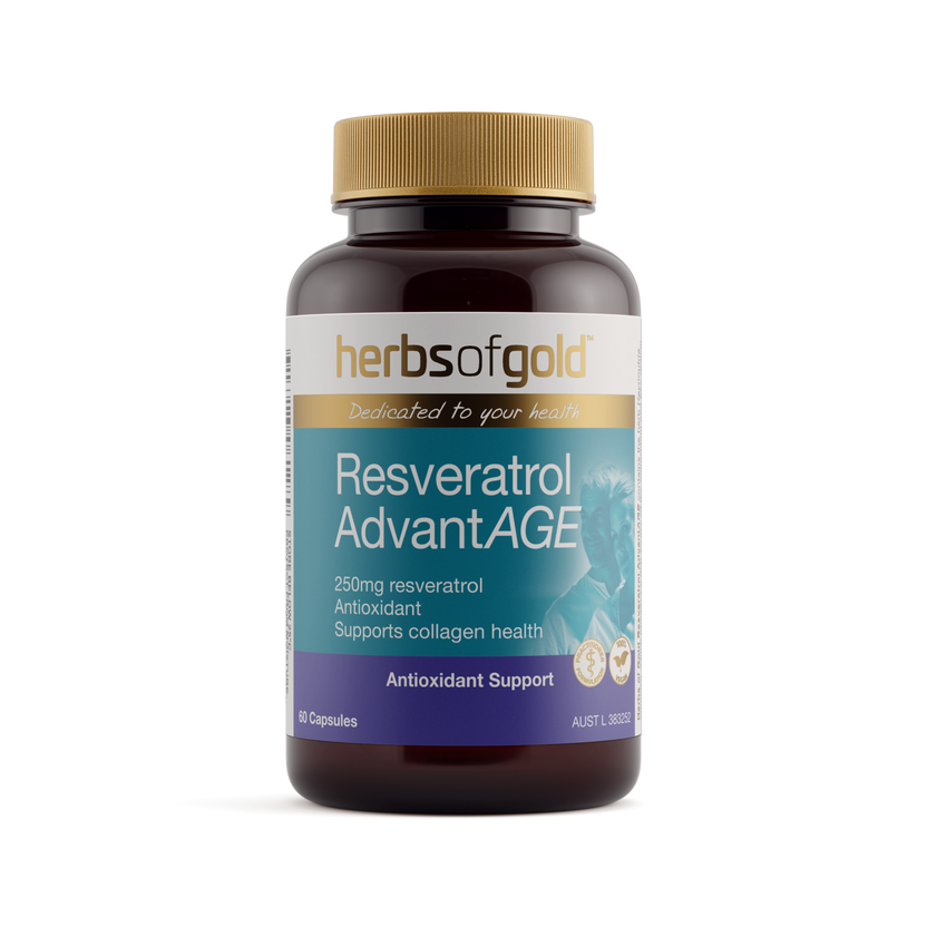 Front view of Herbs of Gold Resveratrol Advantage 60 capsules