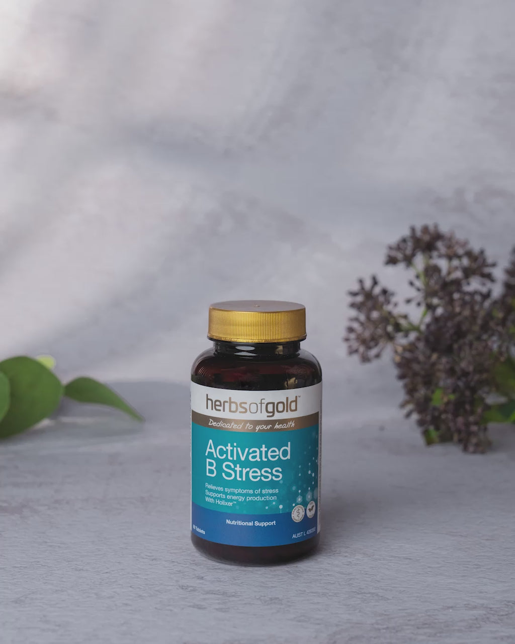 Activated B Stress